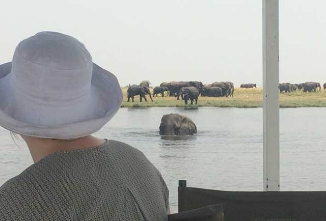 Guests on a morning cruise game viewing along the Chobe River. All the boats offer protection from the sun.